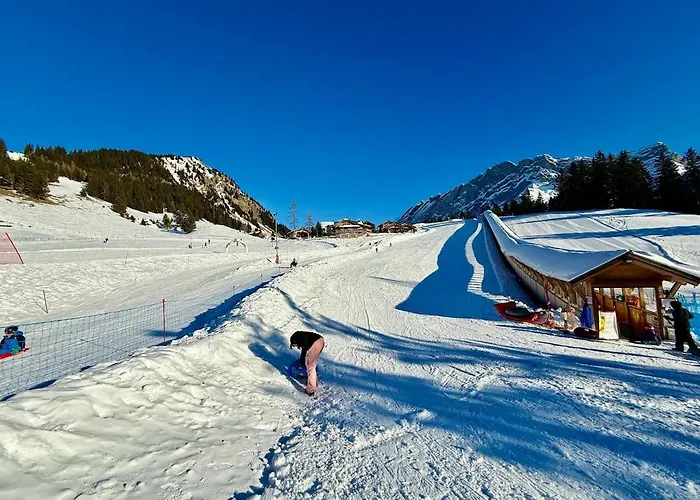 18 1 Beautiful Alpe Des Chaux Appartamento Gryon