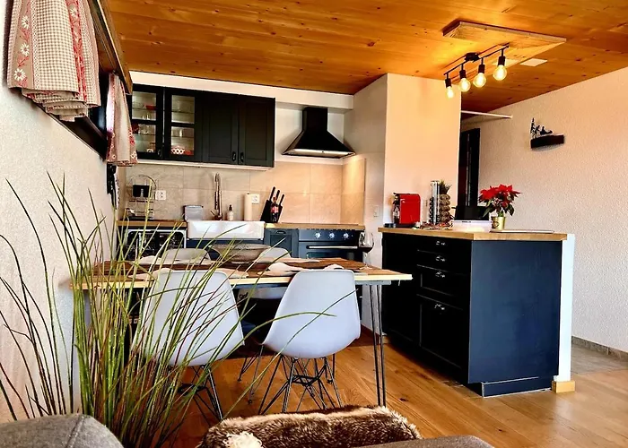 18 1 Beautiful Alpe Des Chaux Appartamento Gryon