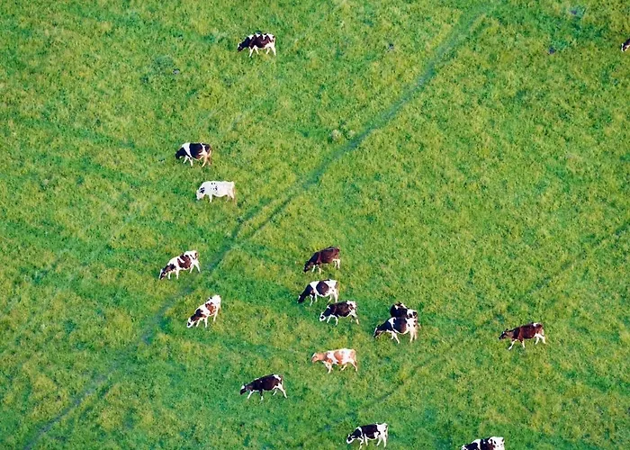 18 1 Beautiful Alpe Des Chaux *