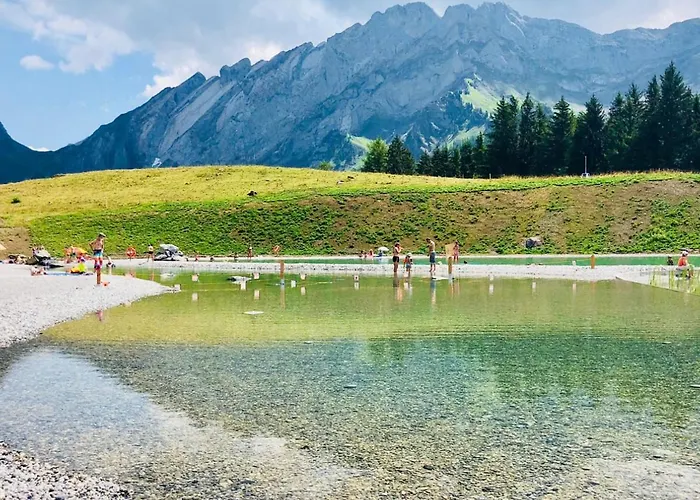 18 1 Beautiful Alpe Des Chaux * גריון