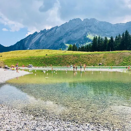 18 1 Beautiful Alpe Des Chaux * Gryon